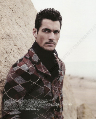 David Gandy pic #200333