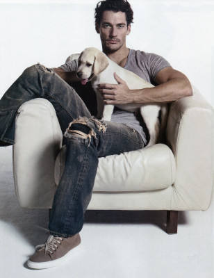 David Gandy pic #240775