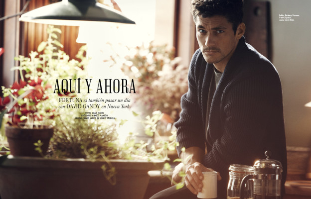 photo 10 in Gandy gallery [id530309] 2012-09-10 00:00:00