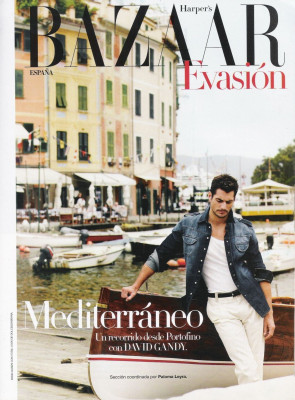photo 10 in David Gandy gallery [id342123] 2011-02-14 00:00:00