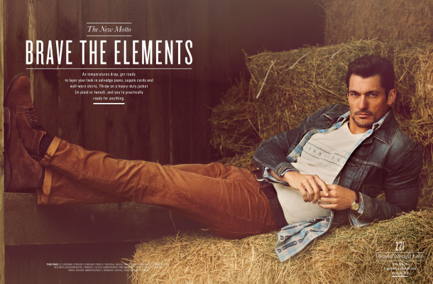 David Gandy pic #550878