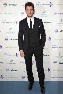 David Gandy pic #427847