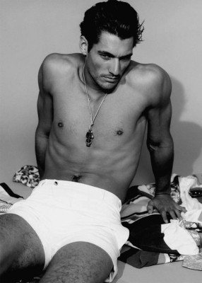 photo 8 in Gandy gallery [id504940] 2012-07-02 00:00:00
