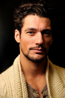 David Gandy pic #271310