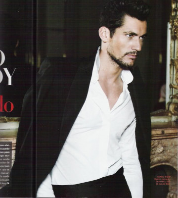 David Gandy pic #508835