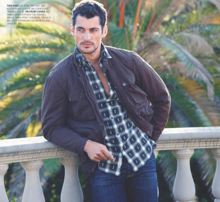 David Gandy pic #564456