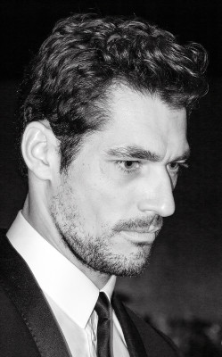David Gandy pic #542331