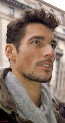 photo 3 in Gandy gallery [id544518] 2012-10-22 00:00:00