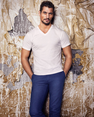 photo 9 in Gandy gallery [id664826] 2014-01-27 00:00:00