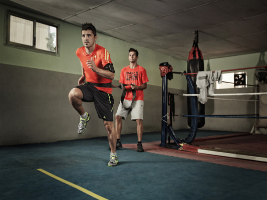 David Villa pic #454240