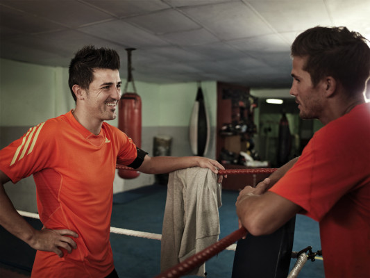 David Villa pic #454239