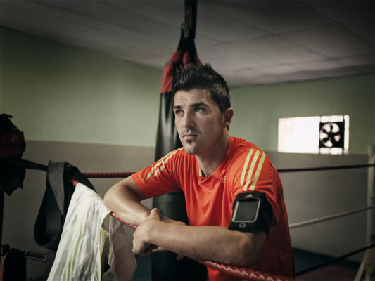 David Villa pic #454237