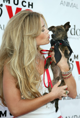 Denise Richards pic #216490