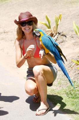 Denise Richards pic #167113