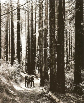Depeche Mode pic #488632
