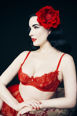 Dita Von Teese pic #766023