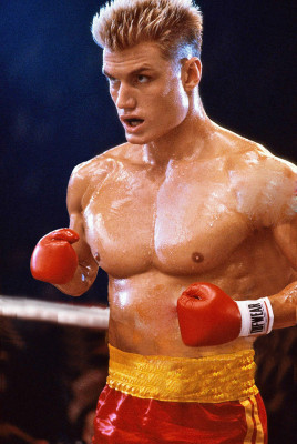 photo 29 in Dolph Lundgren gallery [id334321] 2011-01-31 00:00:00