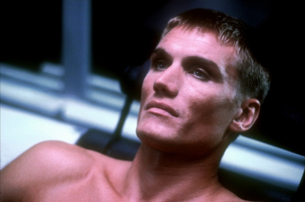 photo 26 in Dolph Lundgren gallery [id345379] 2011-02-22 00:00:00