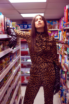Dua Lipa pic #935304