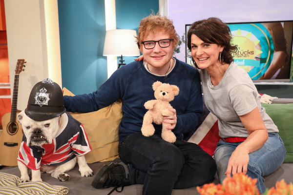 Ed Sheeran pic #917232