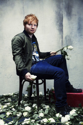 Ed Sheeran pic #912968