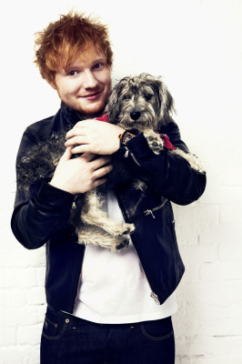 photo 22 in Ed Sheeran gallery [id912971] 2017-02-28 00:00:00