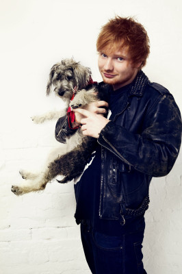 Ed Sheeran pic #912965