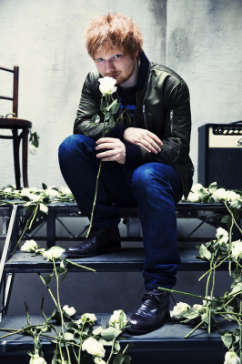 Ed Sheeran pic #912966