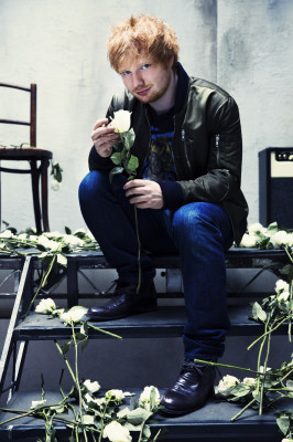 Ed Sheeran pic #912964