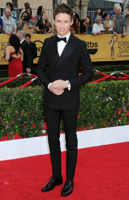 Eddie Redmayne pic #756493