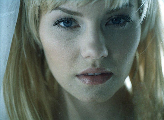 Elisha Cuthbert pic #75293