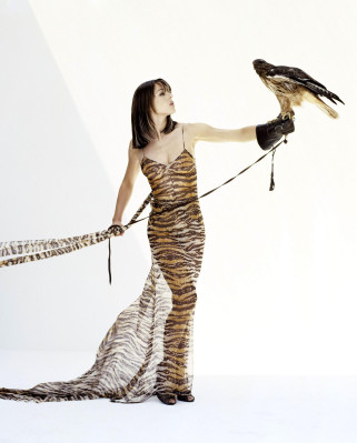 Elizabeth Hurley pic #214743