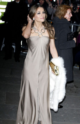 Elizabeth Hurley pic #672063