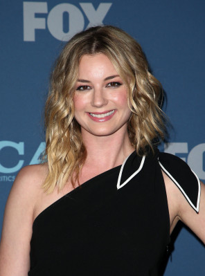 Emily van Camp pic #1203540
