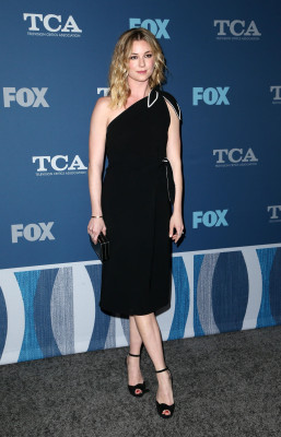 Emily van Camp pic #1203539
