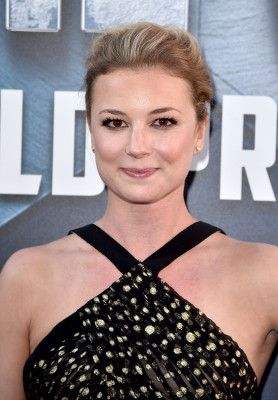 Emily van Camp pic #846467