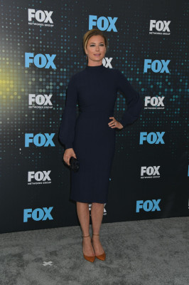 Emily van Camp pic #1210235
