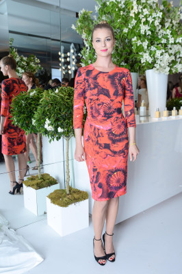 Emily van Camp pic #1237711