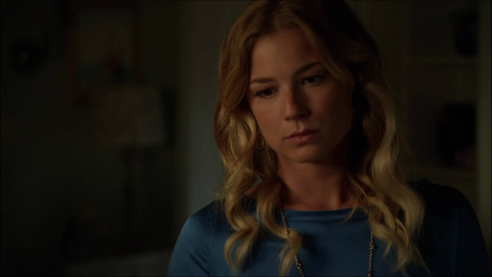 Emily van Camp pic #875196
