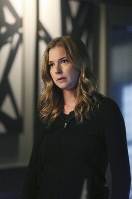 Emily van Camp pic #788863