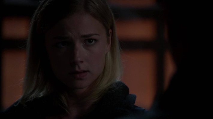 Emily van Camp pic #807026