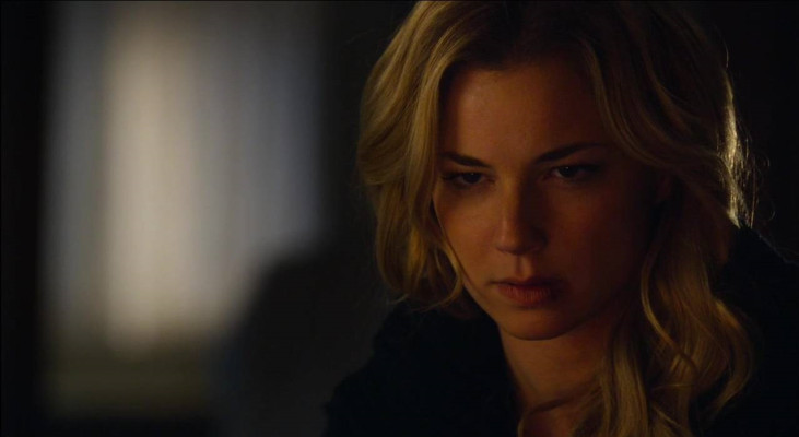 Emily van Camp pic #864630
