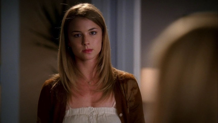 Emily van Camp pic #855544