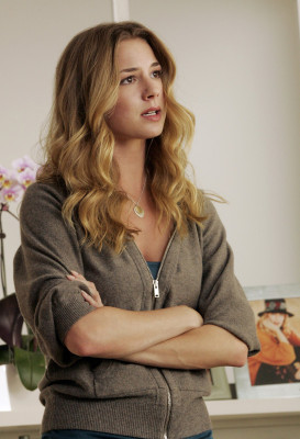 Emily van Camp pic #878876