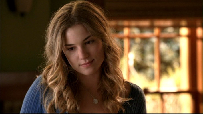 Emily van Camp pic #804424