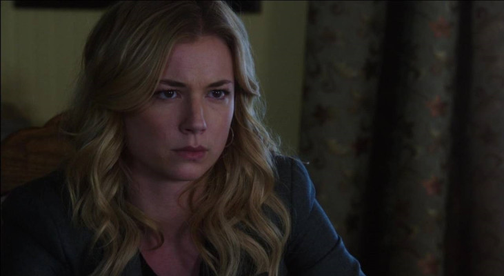 Emily van Camp pic #810007