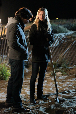 Emily van Camp pic #733553