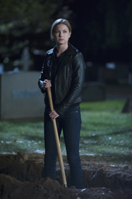 Emily van Camp pic #848709