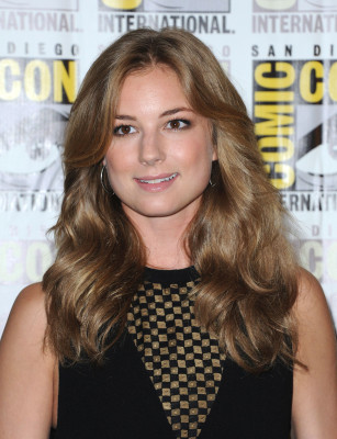 Emily van Camp pic #1224184