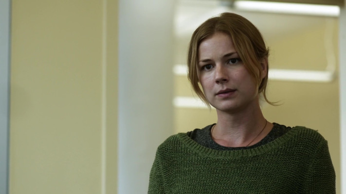 Emily van Camp pic #1259873